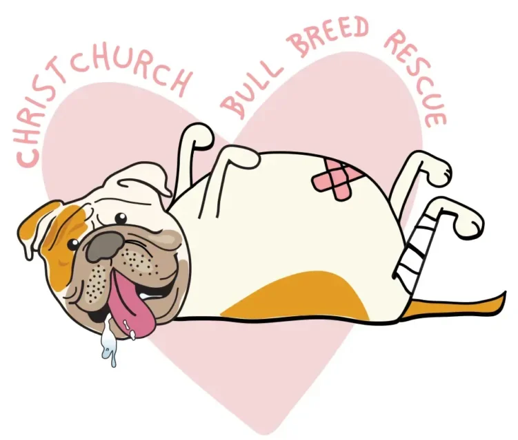 Christ church bull bread rescue