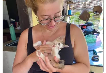 animal-caregiver animal-caregiver
