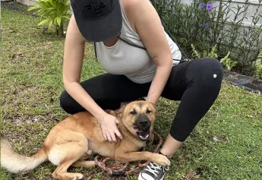 dog-walker-trainer dog-walker-trainer